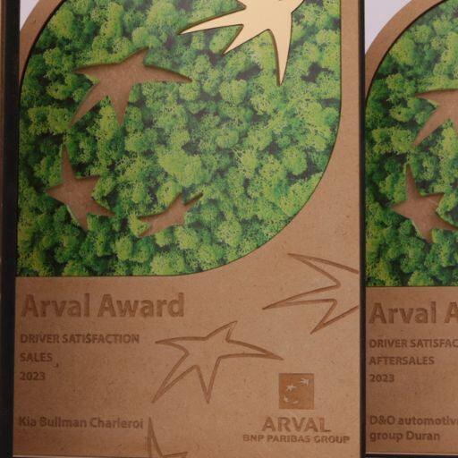 Award made from kraft board with preserved green moss and wooden stars